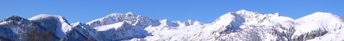 roya.org