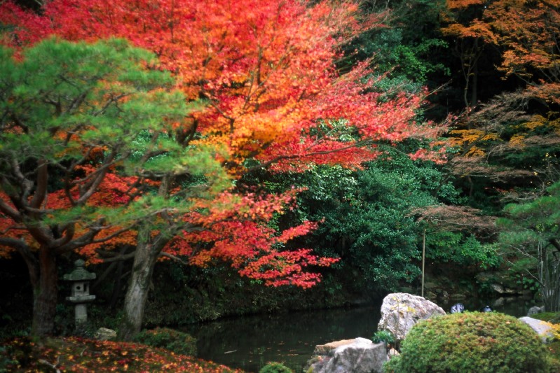 Garden in Gion-In temple